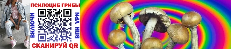 Галлюциногенные грибы Magic Shrooms  Чаплыгин 